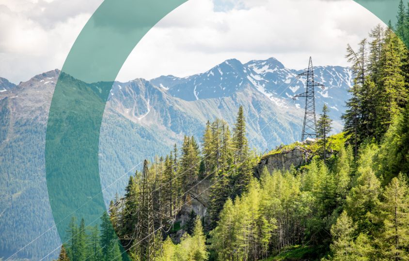 KNG Mein Portal Login